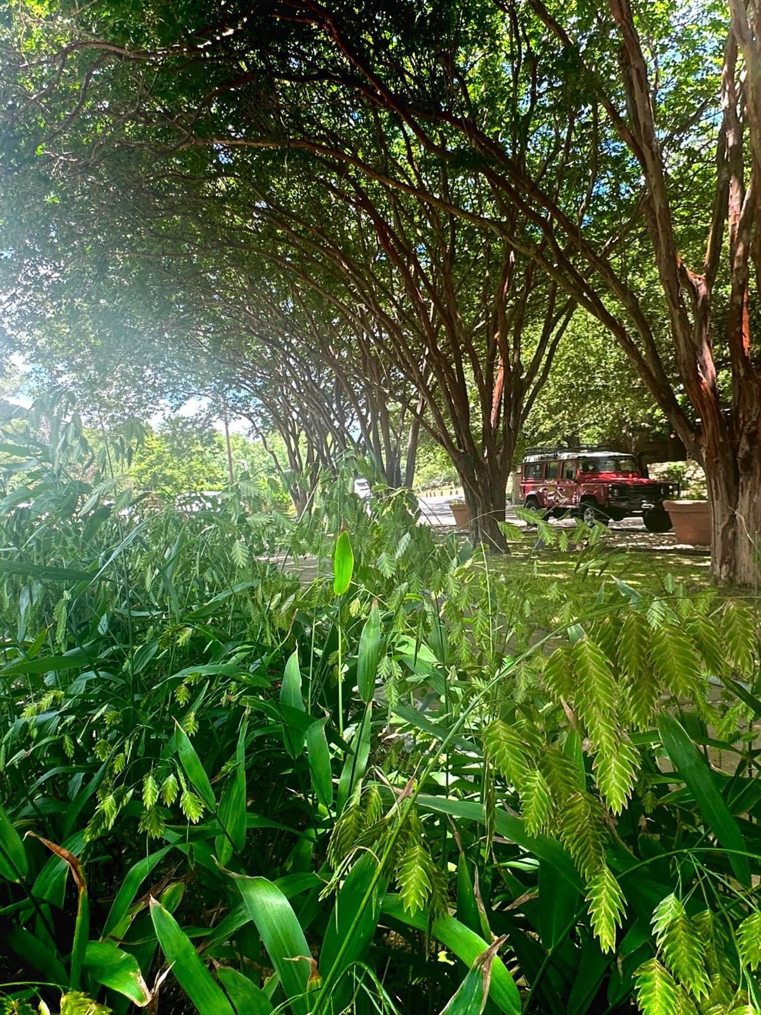 Lake Austin Spa Resort Exterior foto