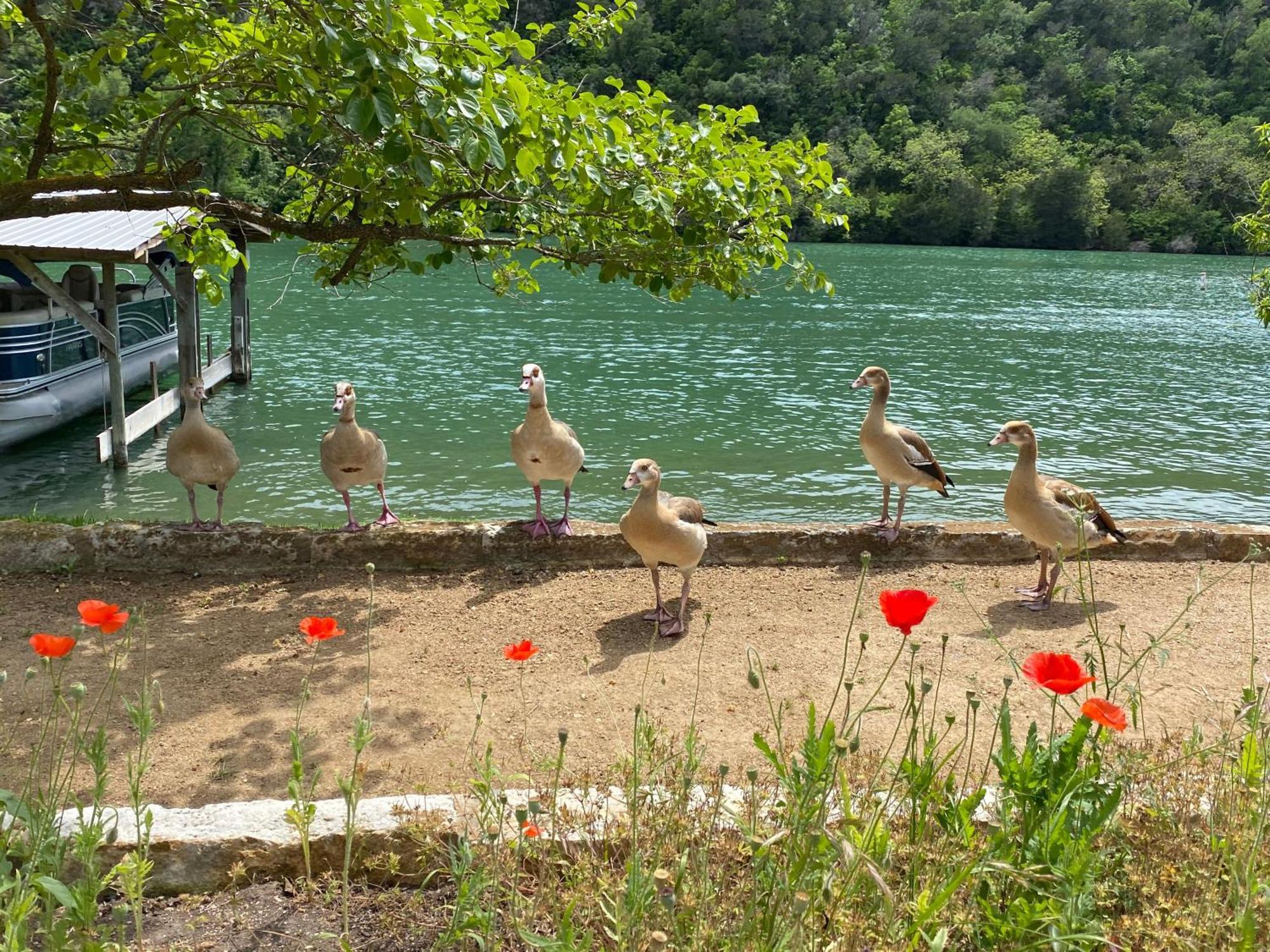 Lake Austin Spa Resort Exterior foto